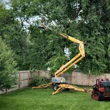 Landscape Design and Installation in Baywood Park, CA