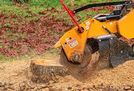 Best Tree Mulching  in Baywood Park, CA